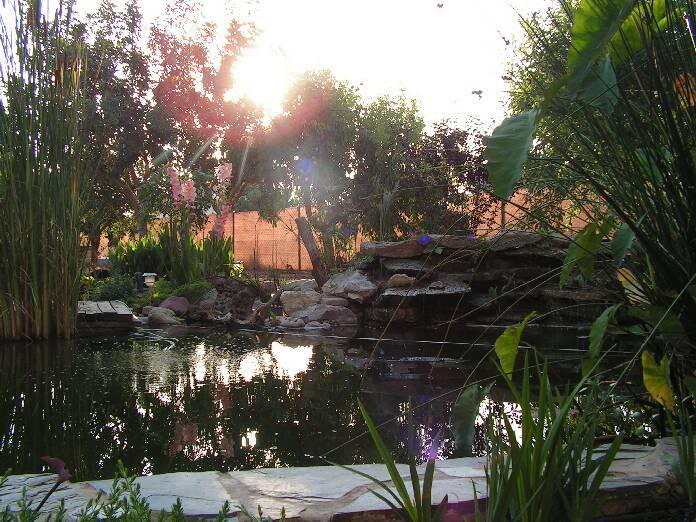 PICT0014.jpg