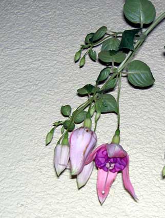 PICT0014.jpg