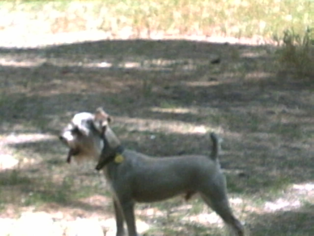PICT0014.jpg