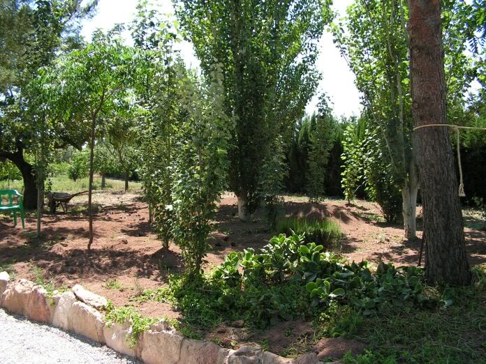 PICT0015.jpg