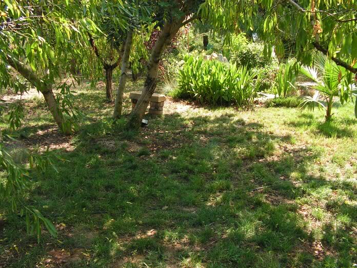 PICT0015.jpg