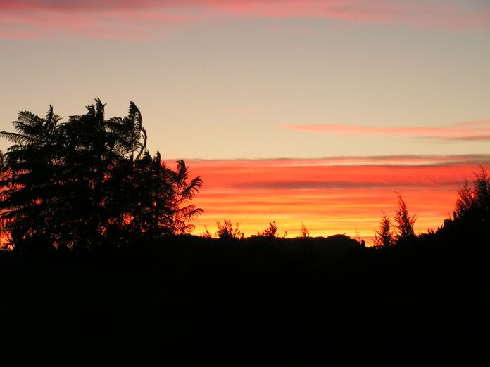 PICT0015.jpg