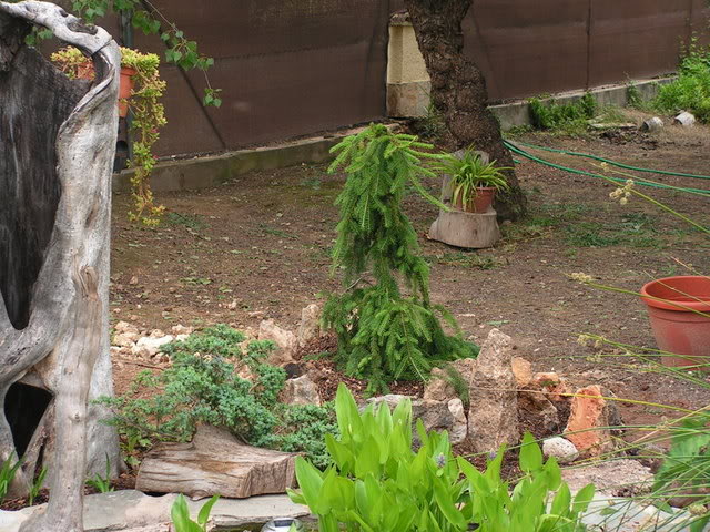 PICT0017.jpg