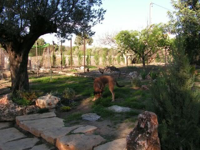 PICT0017.jpg