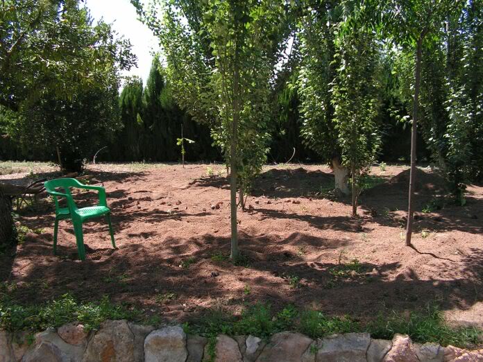 PICT0017.jpg