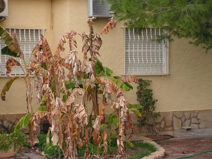 PICT0017.jpg