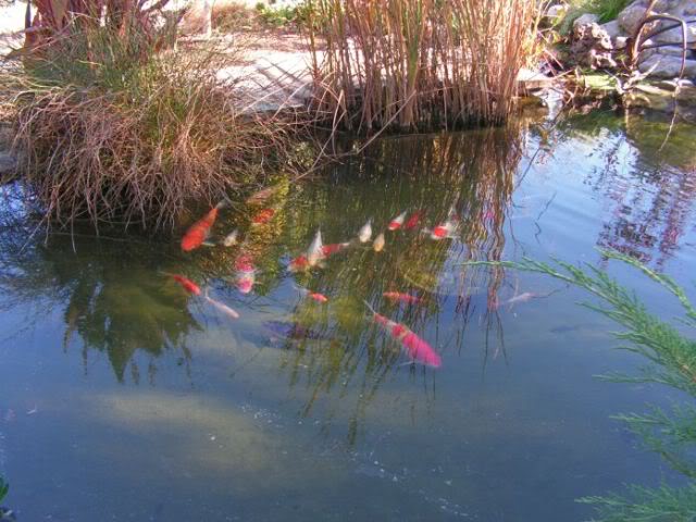 PICT0018.jpg