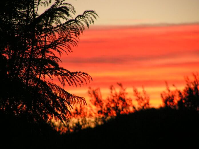 PICT0018.jpg