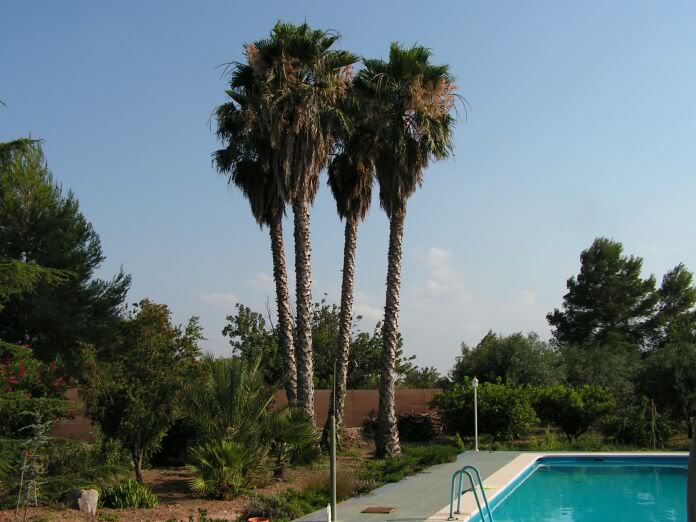 PICT0019.jpg