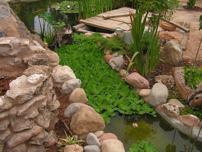 PICT0019.jpg