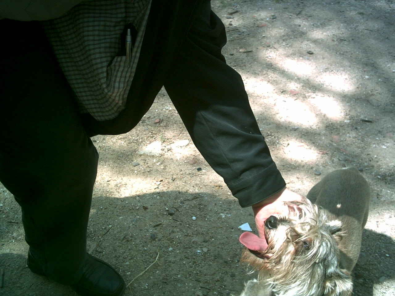 PICT0019.jpg