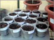 PICT0019.jpg