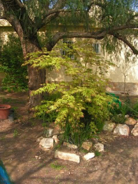 PICT0020.jpg