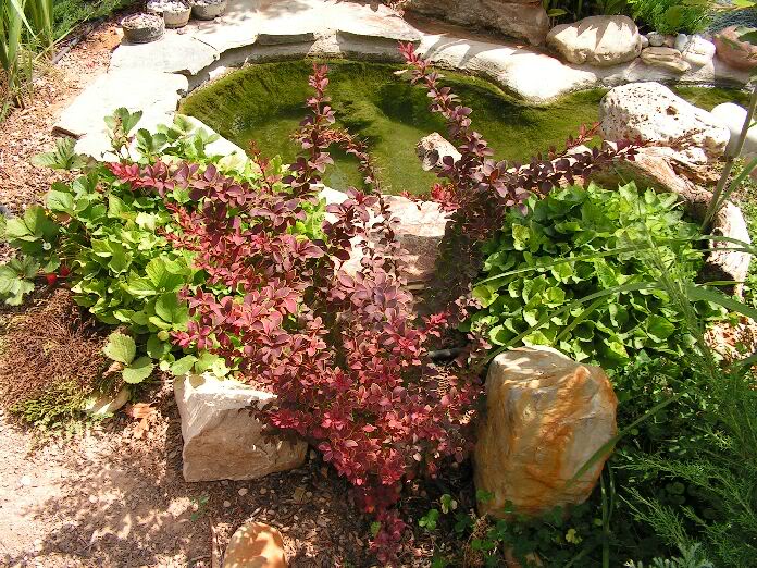 PICT0021.jpg