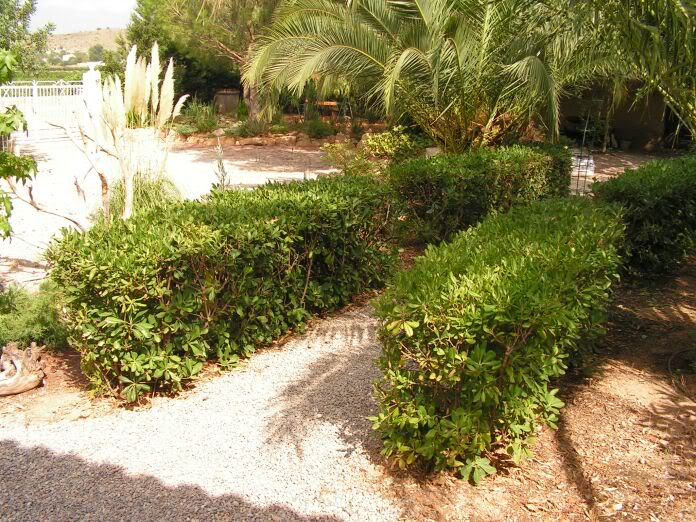 PICT0021.jpg