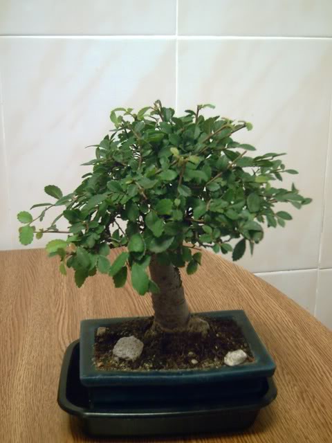 PICT0022.jpg