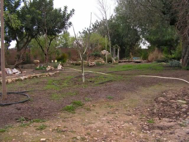 PICT0022.jpg