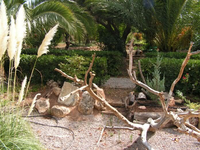 PICT0022.jpg
