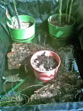 PICT0022_edited.jpg