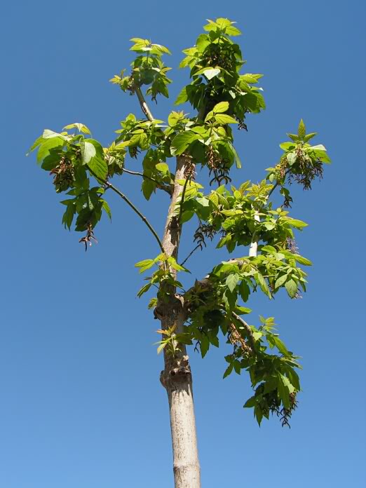 PICT0023.jpg