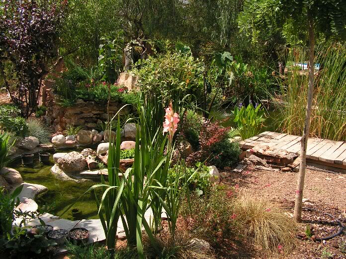 PICT0024.jpg