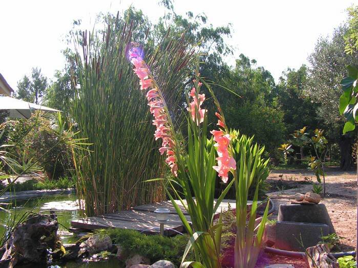 PICT0024.jpg
