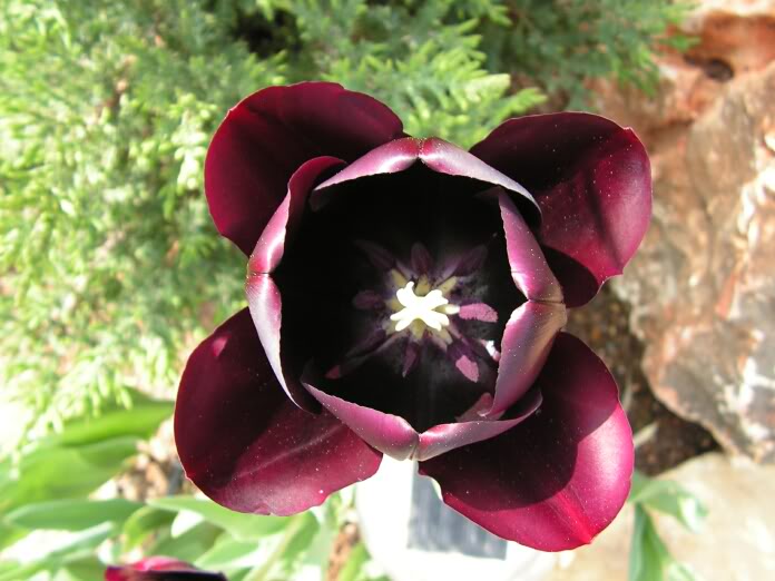 PICT0025.jpg