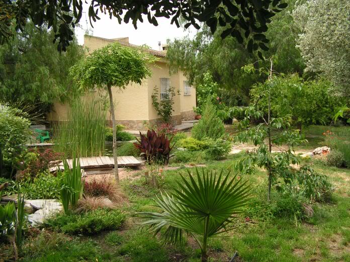 PICT0025.jpg