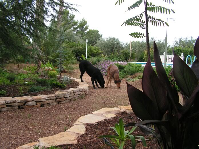 PICT0025.jpg