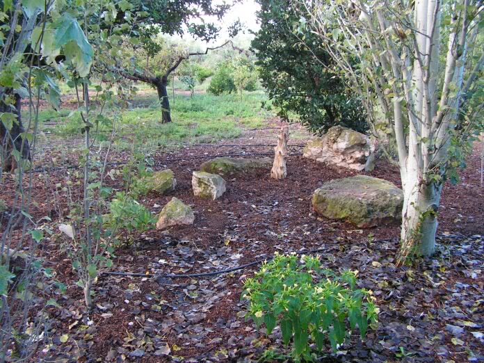 PICT0025.jpg