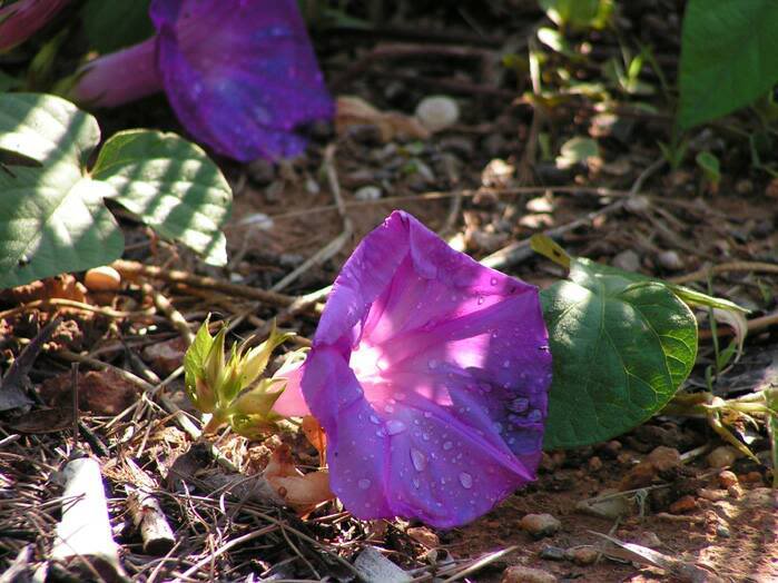 PICT0025.jpg