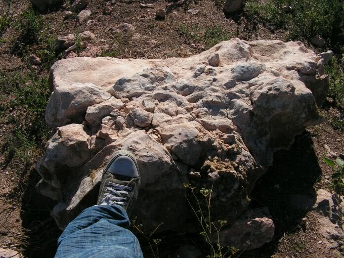 PICT0026.jpg