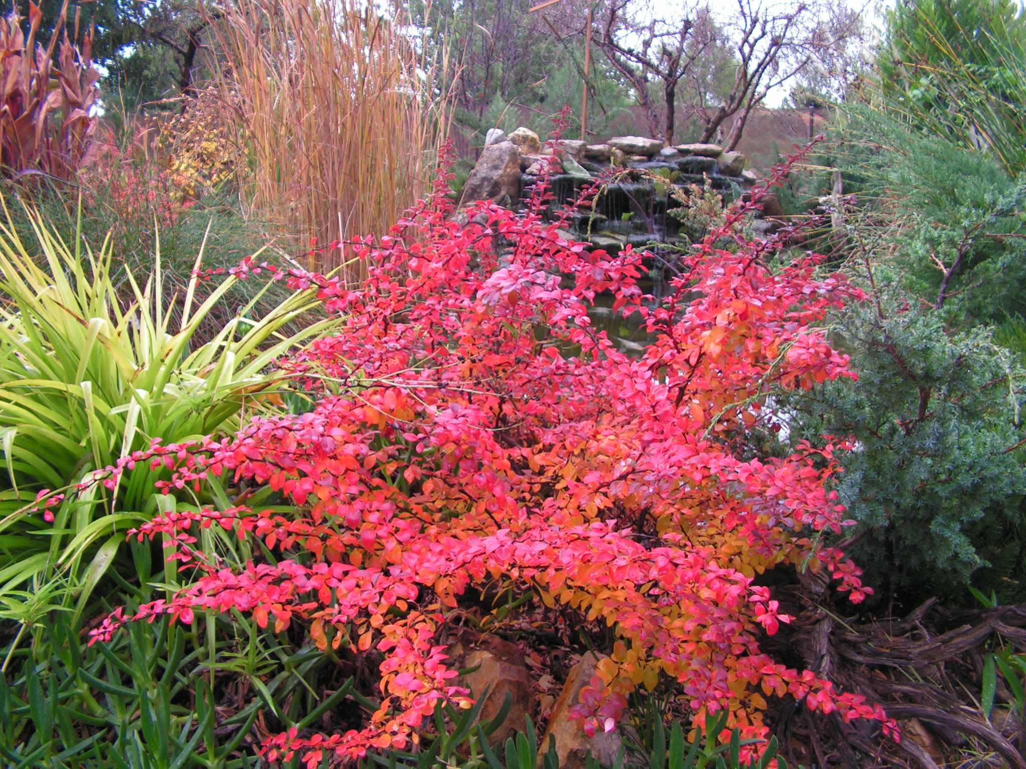 PICT0026.jpg