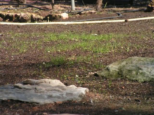 PICT0027.jpg