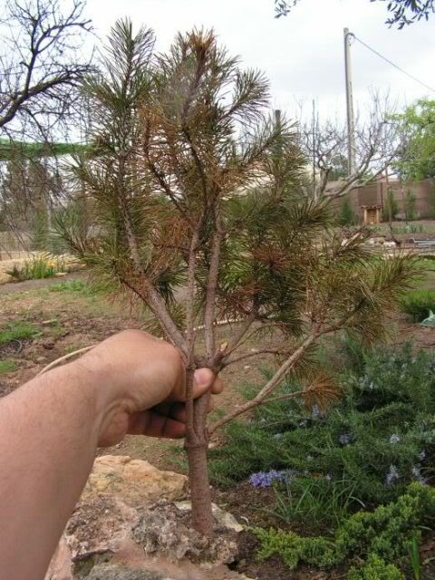 PICT0027.jpg