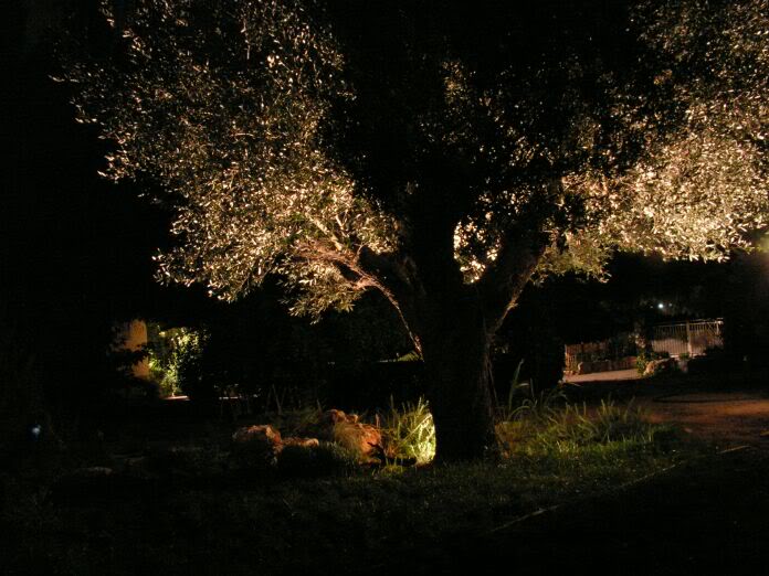 PICT0027.jpg