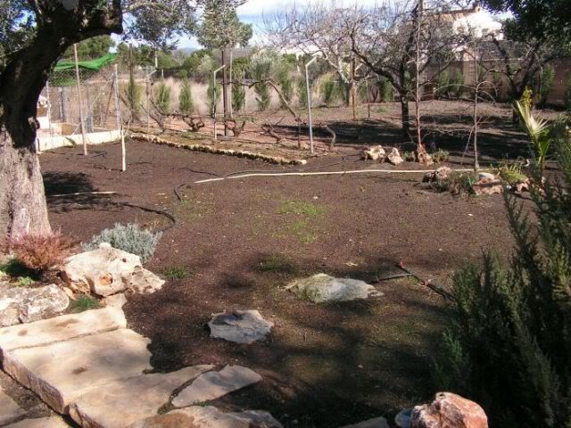 PICT0028.jpg