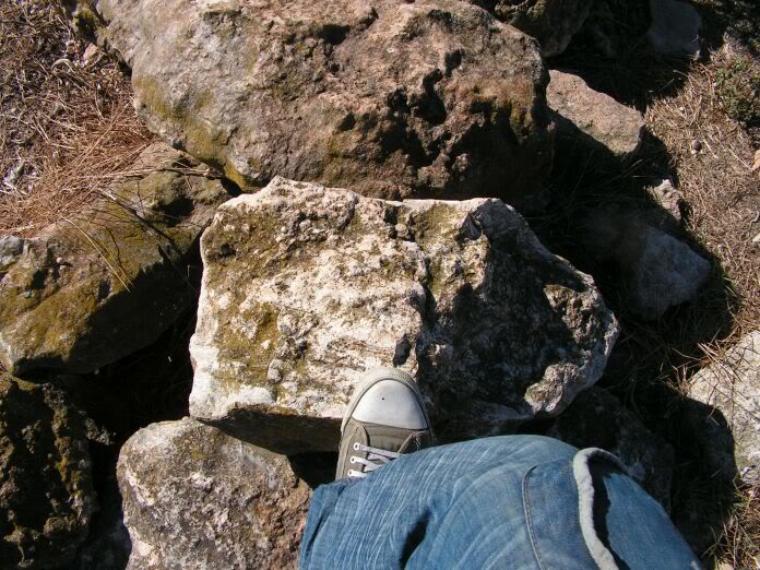 PICT0029.jpg