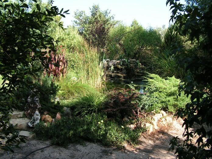 PICT0031.jpg