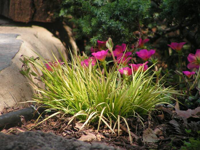 PICT0031.jpg