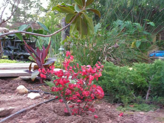 PICT0032.jpg
