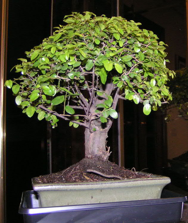 PICT0032.JPG