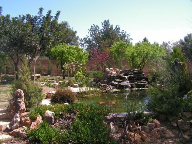 PICT0033.jpg