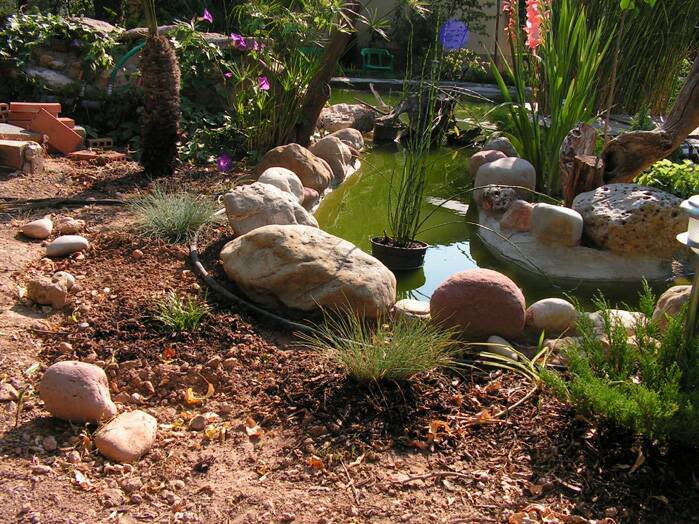 PICT0033.jpg