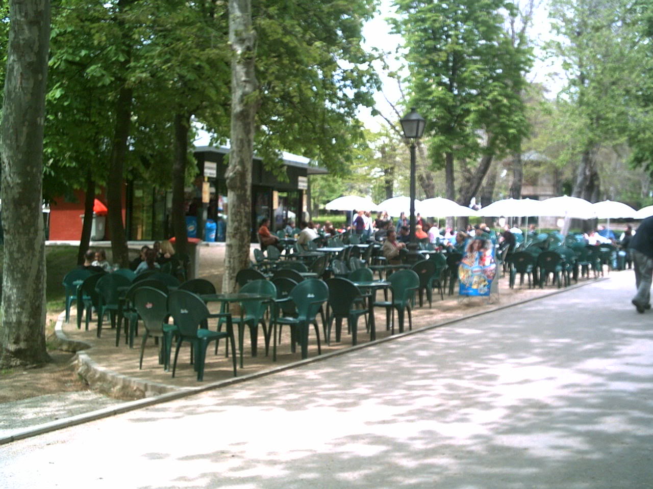 PICT0036.jpg