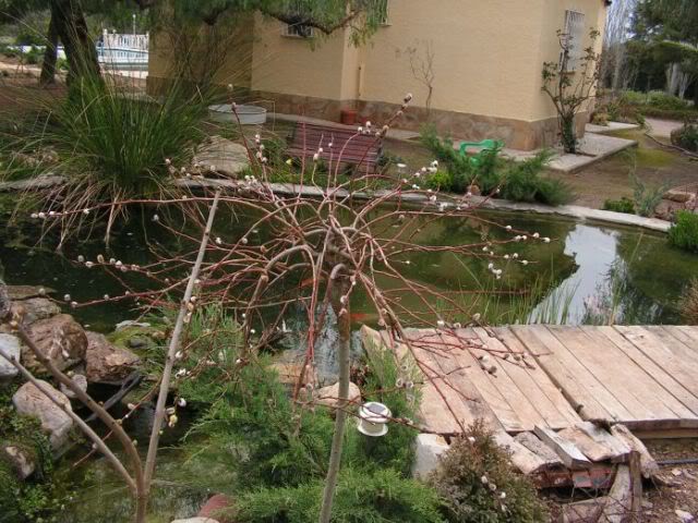 PICT0037.jpg