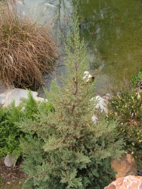 PICT0038.jpg