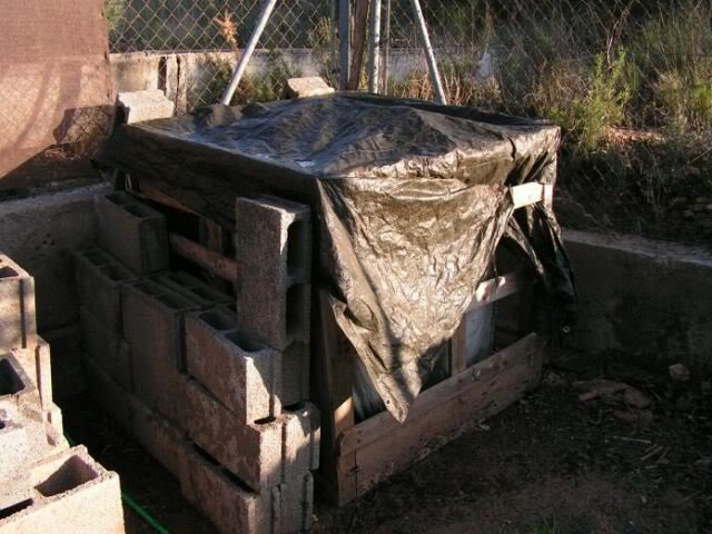 PICT0038.jpg
