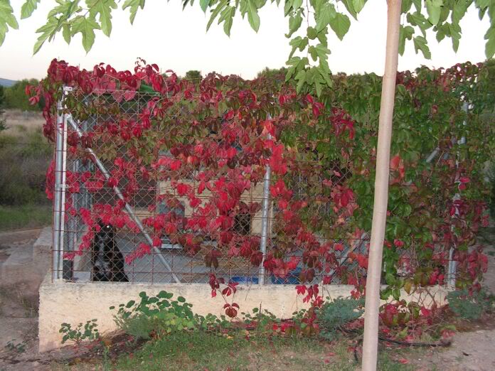 PICT0038.jpg