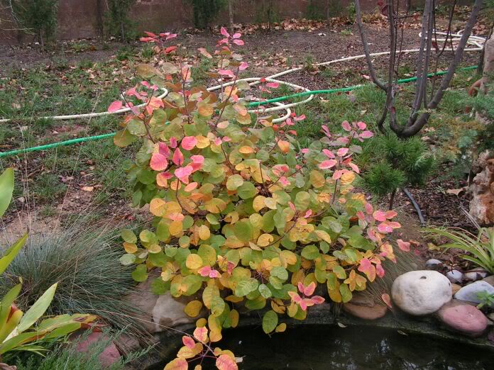 PICT0038.jpg